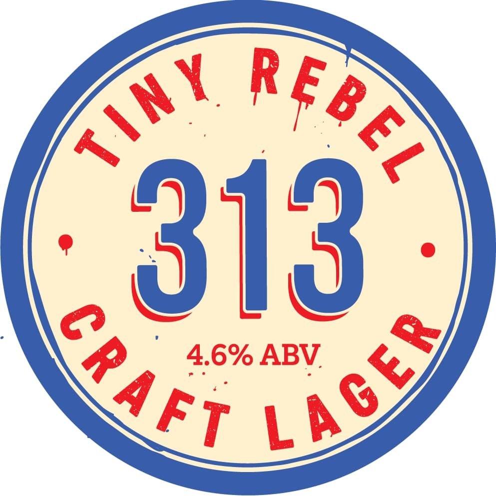 313 Craft Lager